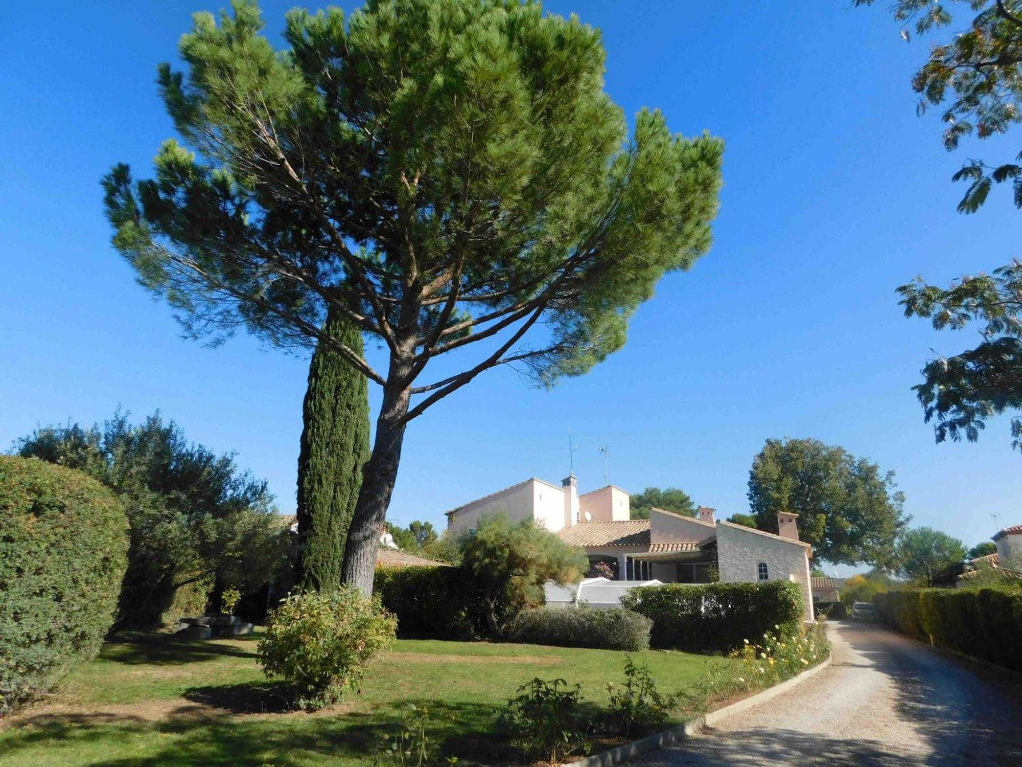 Les Bougainvillees De Camargue Villetelle Exteriör bild