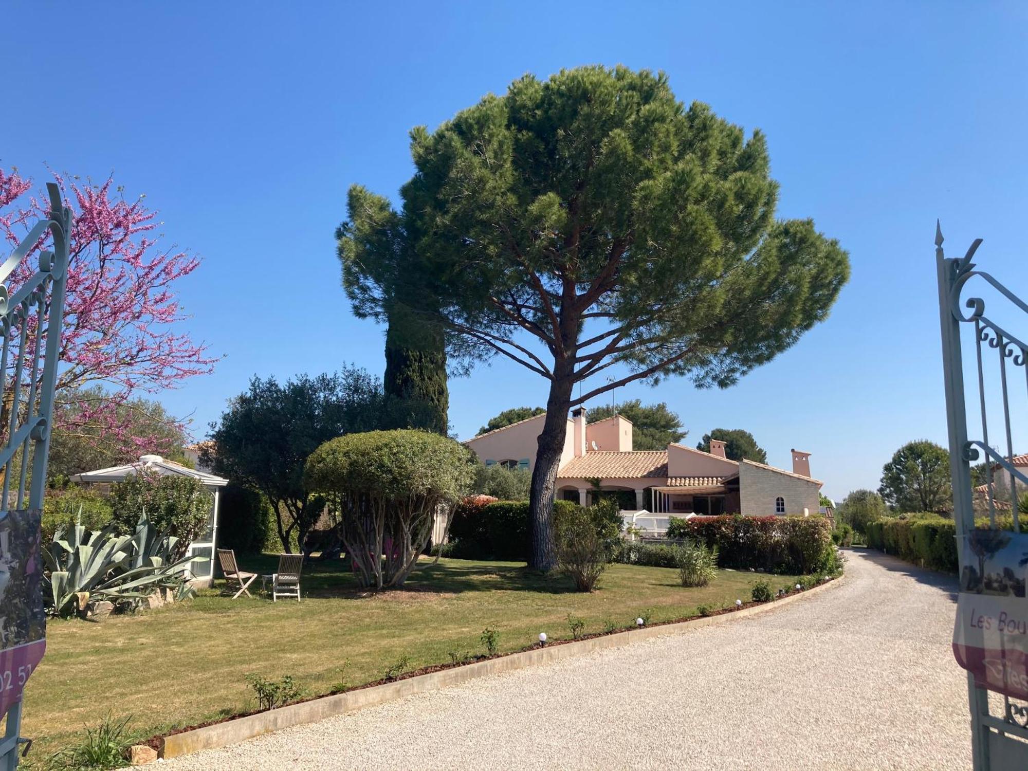 Les Bougainvillees De Camargue Villetelle Exteriör bild