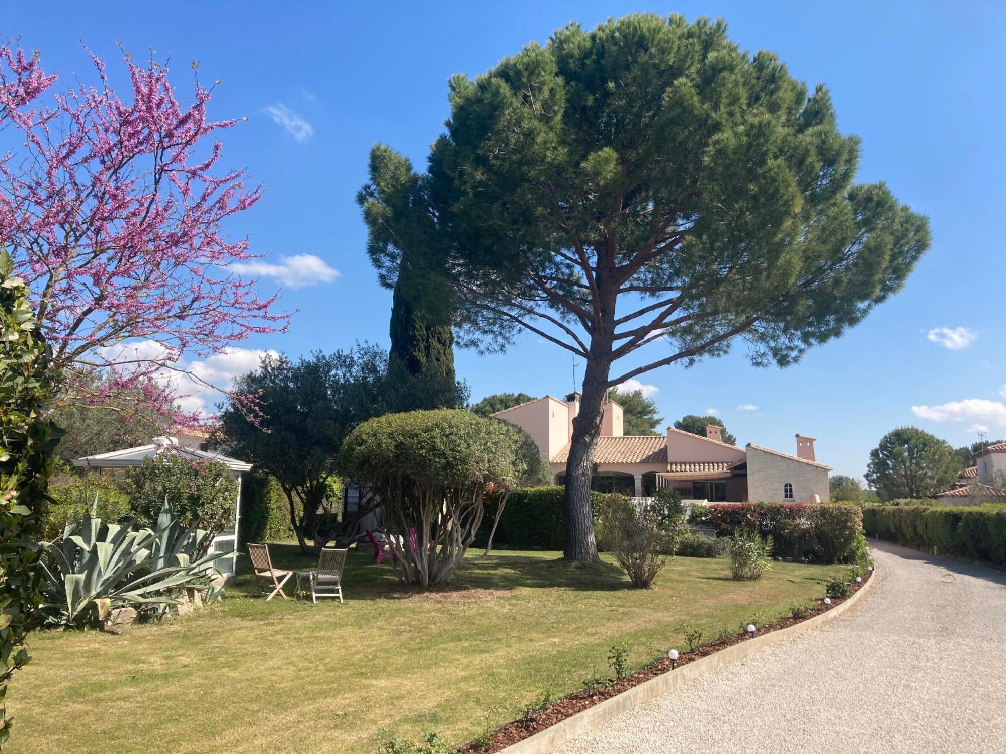 Les Bougainvillees De Camargue Villetelle Exteriör bild