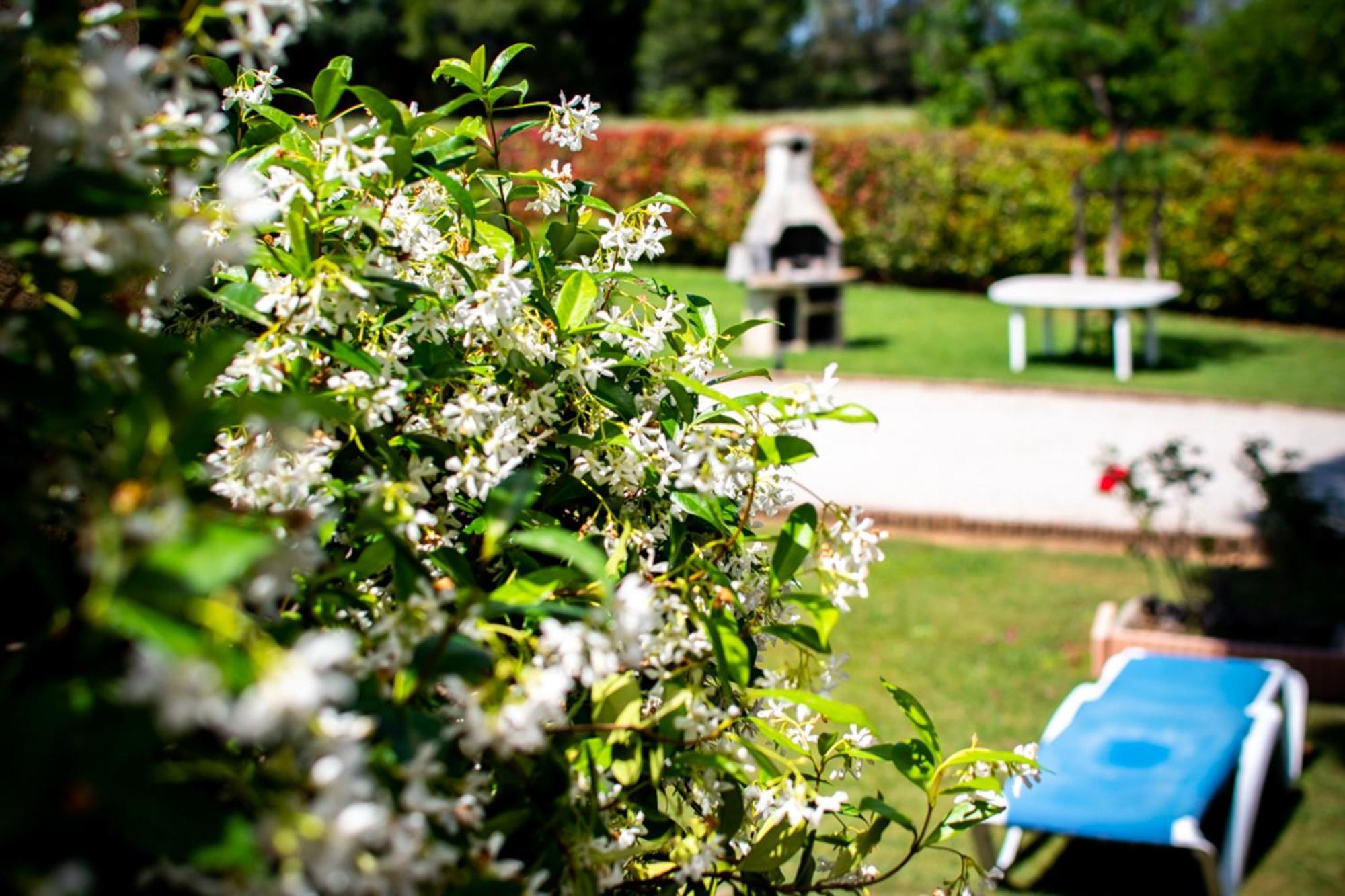 Les Bougainvillees De Camargue Villetelle Rum bild